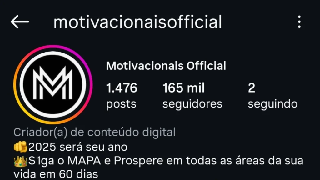 Perfil do Instagram 1