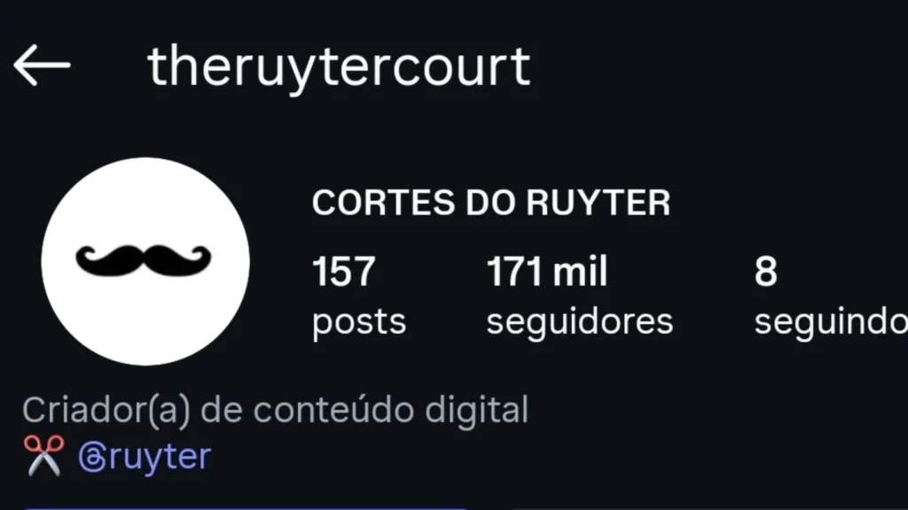 Perfil do Instagram 2