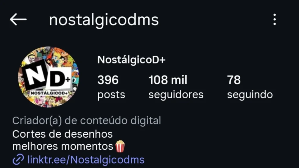 Perfil do Instagram 4