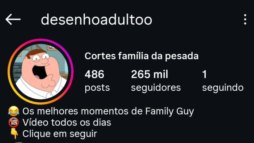 Perfil do Instagram 3