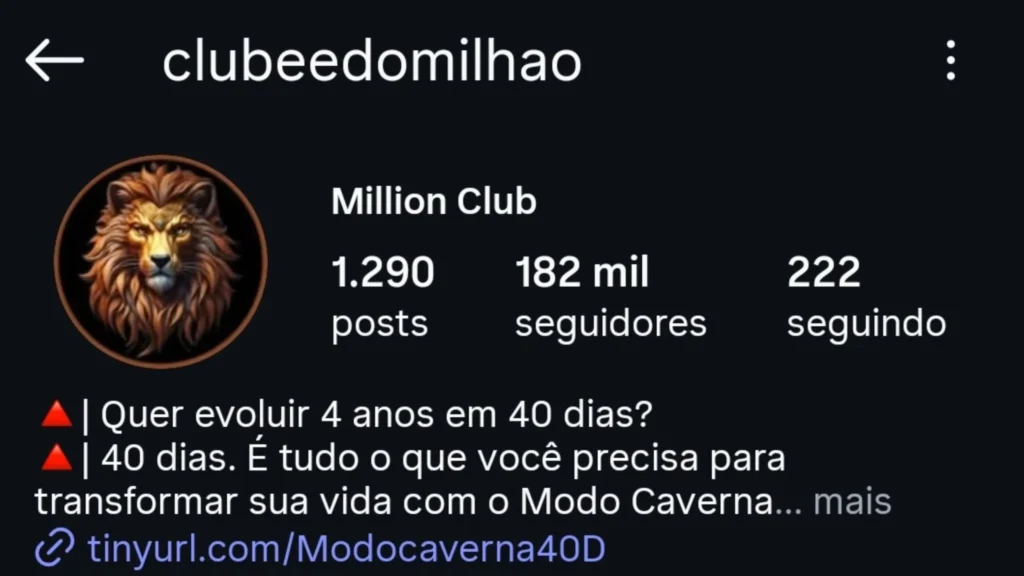 Perfil do Instagram 5