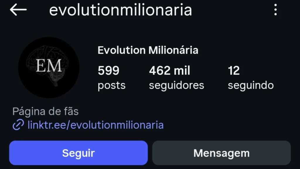 Perfil do Instagram 6